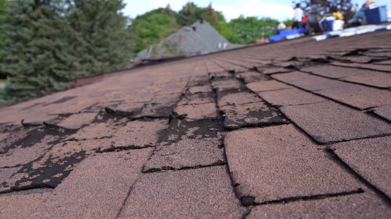 Best Emergency Roof Repair Services  in Riverside, IA
